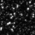 2024gtz_image