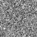 2024gyl_image