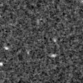 2024hre_image