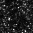 2024iep_image