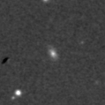 2024ifg_image