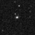 2024ifj_image