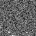 2024ihf_image