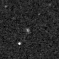 2024iht_image