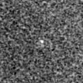 2024iim_image