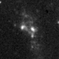 2024ikg_image