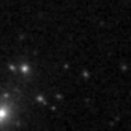 2024imm_image