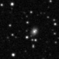 2024ipf_image