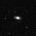 2024ipk_image