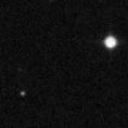 2024ipn_image