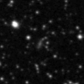 2024ipp_image