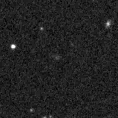 2024ipr_image