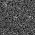 2024ird_image