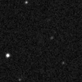 2024jci_image