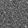 2024jcq_image