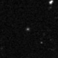 2024juv_image
