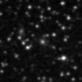 2024kfj_image