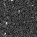 2024kjl_image