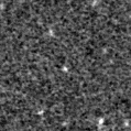 2024kmn_image