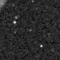 2024lda_image