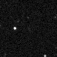 2024ldb_image