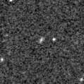 2024ldp_image