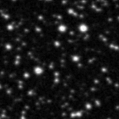 2024lho_image