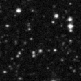 2024ljw_image