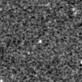 2024lkh_image