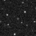 2024llv_image