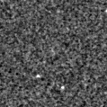 2024lme_image