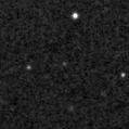 2024lmw_image
