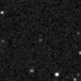 2024loy_image