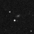 2024lpa_image