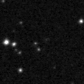 2024lsa_image
