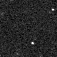 2024ltw_image