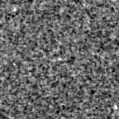 2024lvu_image