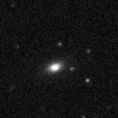 2024lwg_image