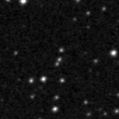 2024lws_image