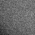 2024lwy_image