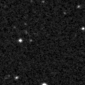 2024lzv_image