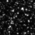 2024mw_image