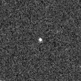2024qdh_image