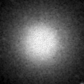 2024qdm_image