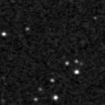 2024qdx_image