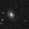 2024qga_image