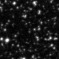 2024qjx_image