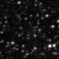 2024qlj_image
