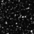 2024qly_image