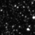 2024qpd_image